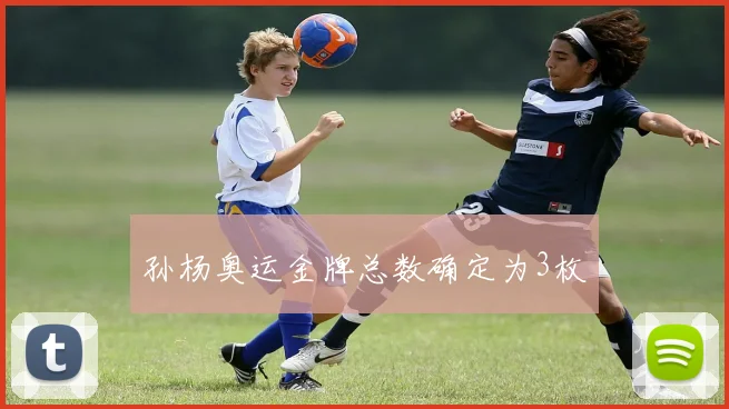 孙杨奥运金牌总数确定为3枚