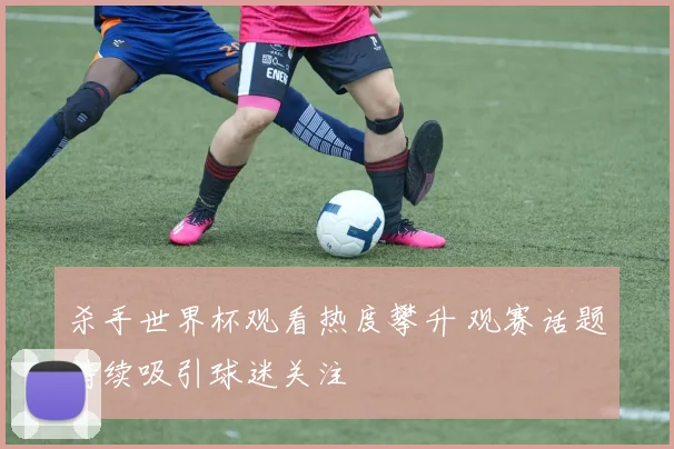 杀手世界杯观看热度攀升 观赛话题持续吸引球迷关注