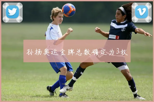孙杨奥运金牌总数确定为3枚