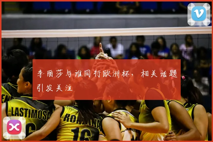 李丽莎与谁同行欧洲杯,相关话题引发关注
