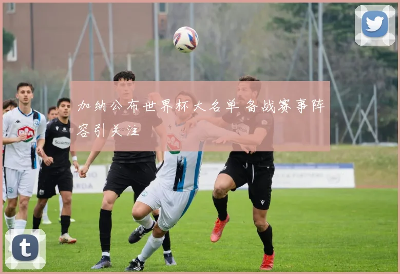 加纳公布世界杯大名单 备战赛事阵容引关注